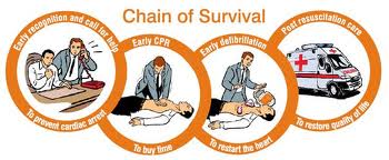 Chain of Survival - Defib Shop